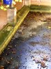 Lavoir de FONTENAY SOUS FOURONNES