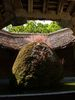 Lavoir de DISSANGIS