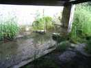 Lavoir de FROUVILLE