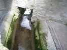 Lavoir de VIENNE EN ARTHIES