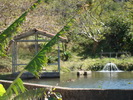 Lavoir de Monteverde (Costa Rica)