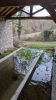 Lavoir de POLLIEU