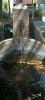 Lavoir de CHORGES