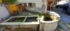 Lavoir de ST MARTIN DE QUEYRIERE