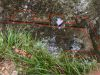 Lavoir de ST ALBAN AURIOLLES