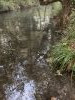 Lavoir de ST ALBAN AURIOLLES