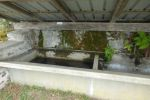 Lavoir de PIERREFORT