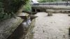 Photo du lavoir à CHAMPNIERS