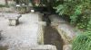 Photo du lavoir à CHAMPNIERS