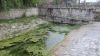 Photo du lavoir à CHAMPNIERS