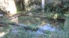 Lavoir à MAGNAC SUR TOUVRE