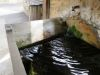 Lavoir à ST CERNIN DE LARCHE