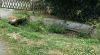 Photo of the washhouse in ST VICTOR EN MARCHE