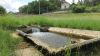 Lavoir de ST MARTIAL DE VALETTE