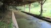 Lavoir de THIVIERS