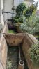 Lavoir de LES GRANGETTES