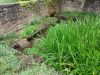 Lavoir à LA MOTTE FEUILLY