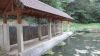 Lavoir de ST SAVIN