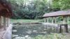 Lavoir de ST SAVIN