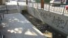 Lavoir de ST ETIENNE DE ST GEOIRS