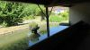 Lavoir de ST SORLIN DE MORESTEL