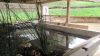Lavoir de ST AVIT