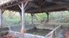 Lavoir de ST VINCENT DE PAUL