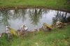 Photo du lavoir à BACH