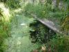 Lavoir de BITRY