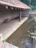 Lavoir de STE COLOMBE DES BOIS