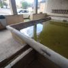 Lavoir de CORTAMBERT