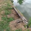 Lavoir de VITRY EN CHAROLLAIS