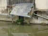 Lavoir de LOUE