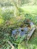 Photo du lavoir à ABLEIGES